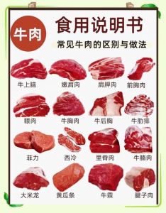 牛肉身上最嫩的部位叫什么_牛肉部位不同，烹饪方法也不同！