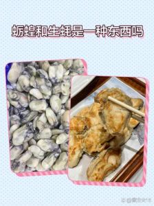 蛎蝗和生蚝的区别图_蛎蝗生蚝怎么分？外观口感营养大不同