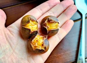 蒸板栗超过30分钟会怎样_蒸板栗别超30分钟，划口快熟好剥壳