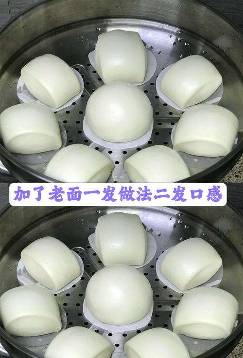 蒸馍需要几分钟_蒸馍时间看面团，醒发发酵凭手感