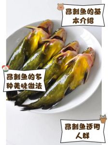 黔鱼是什么鱼小刺多吗_四川家常鲶鱼，肉厚味美易养殖