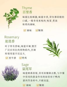 香草视频精品一区：探索香草食材的多样做法与美味搭配宝典