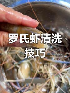 罗氏虾怎么弄干净图解_罗氏虾盐水清洗去虾线，清蒸红烧都干净