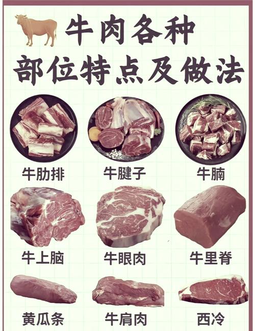 牛黄瓜条是牛哪个部位的肉_牛黄瓜条是牛后腿肉,肉质紧实,烹饪多样 牛黄瓜条是牛哪个部位的肉_牛黄瓜条是牛后腿肉,肉质紧实,烹饪多样