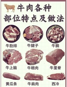 牛黄瓜条是牛哪个部位的肉_牛黄瓜条是牛后腿肉，肉质紧实，烹饪多样