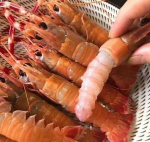 鳌虾可属于海鲜吗_美味营养，多样烹饪，注意煮熟防寄生虫