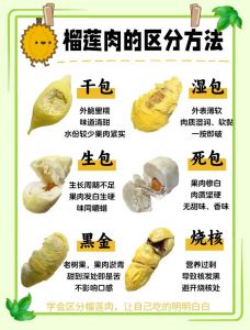 榴莲生包怎么弄熟_榴莲催熟妙招与保存技巧分享