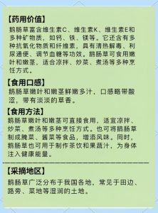 香草亚洲精品一区的多样做法与美味佳肴探索