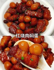 肉的各种家常做法_炖肉烤肉红烧肉做法，嫩滑香浓不油腻