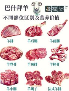 羊体部位分解图_羊肉部位不同，做法各异，吃出鲜美！