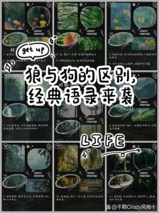 狼肉和狗肉有区别吗_蒙古狼肉酸香独特，与羊狗肉风味迥异