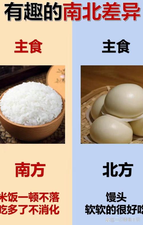 南北差异饮食一览表_面食与米饭的碰撞 南北差异饮食一览表_面食与米饭的碰撞