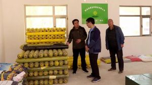 临洮县漫洼乡有特色美食吗_地道风味，文化传承