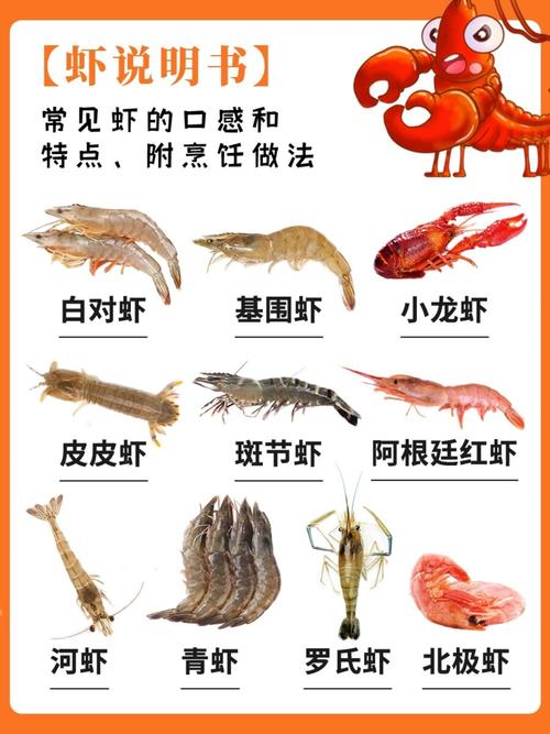 基围虾虾头处理图解_捏头拉线保鲜美