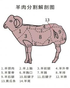 羊部位分解图图解_羊肉部位不同，做法各异！