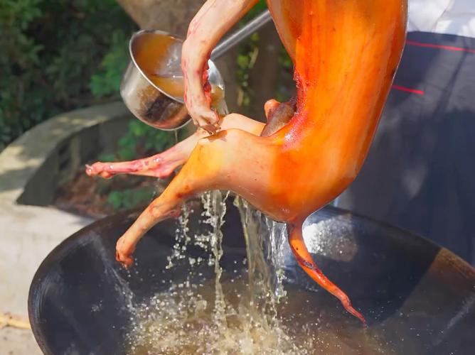 玉林狗肉节什么做法_玉林夏至吃荔枝配狗肉，传统习俗引争议
