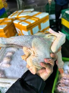 三黄鸡和清远鸡的区别_哪个更适合你？