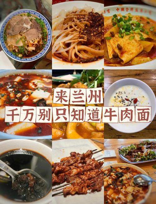 兰州菜属于什么菜系_酸辣鲜香，西北特色美食代表