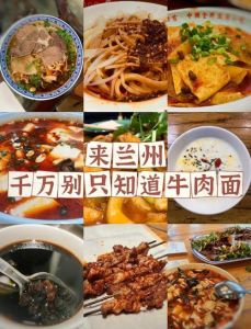 兰州菜属于什么菜系_酸辣鲜香，西北特色美食代表