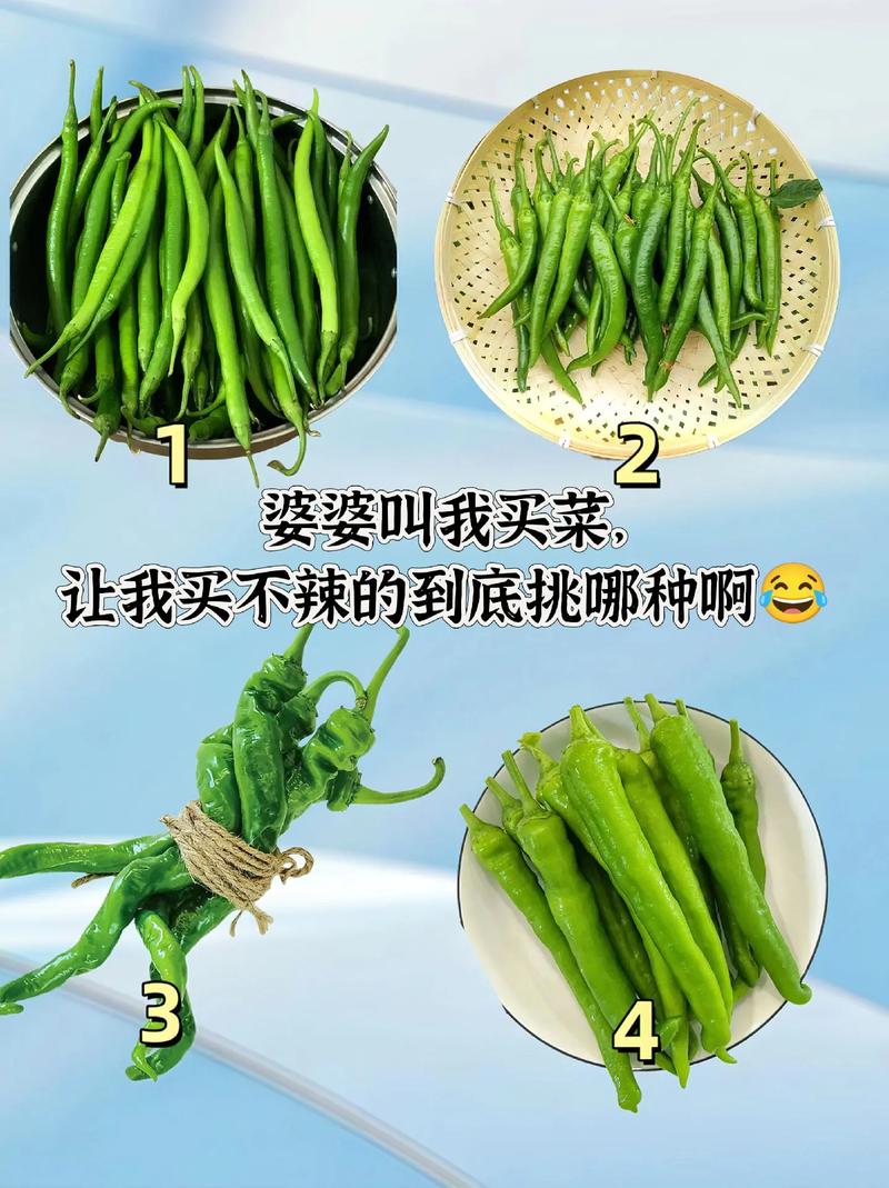 不辣的辣椒有哪些_香不辣的辣椒，美味无负担