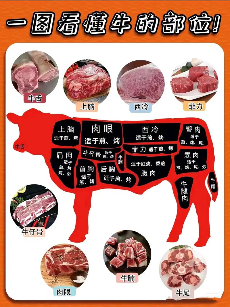 宫喉是牛的哪个部位图解_黄喉郡肝营养高,低脂爽脆好选择 宫喉是牛的哪个部位图解_黄喉郡肝营养高,低脂爽脆好选择