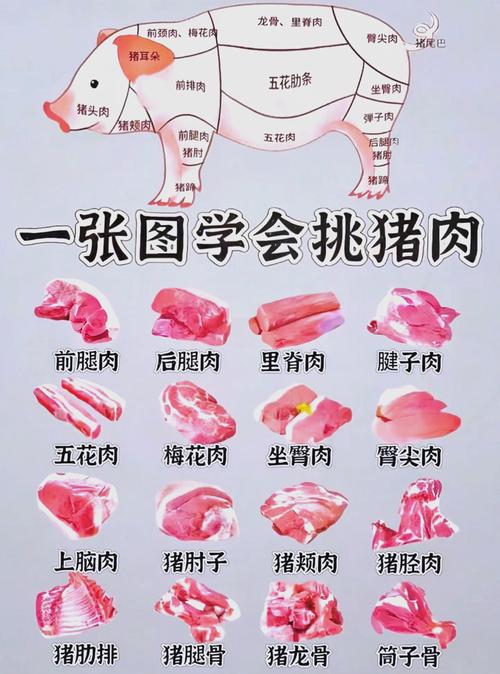 猪肉部位肉大全图解_部位不同做法不同 猪肉部位肉大全图解_部位不同做法不同