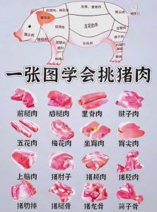 猪肉部位肉大全图解_部位不同做法不同