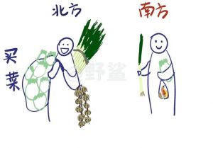 南北地区饮食习惯和居民特色_米饭面食甜咸有别