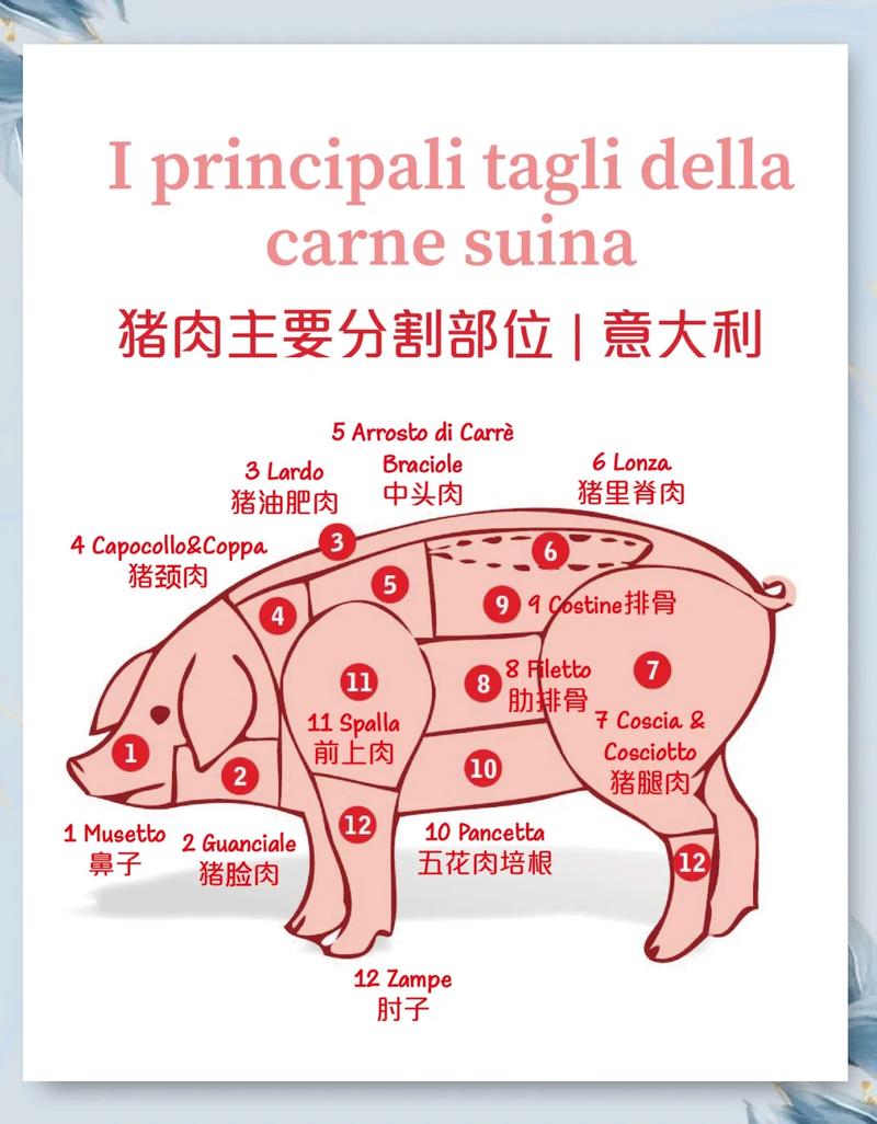 猪肉部位肉大全图解_部位不同做法不同 猪肉部位肉大全图解_部位不同做法不同