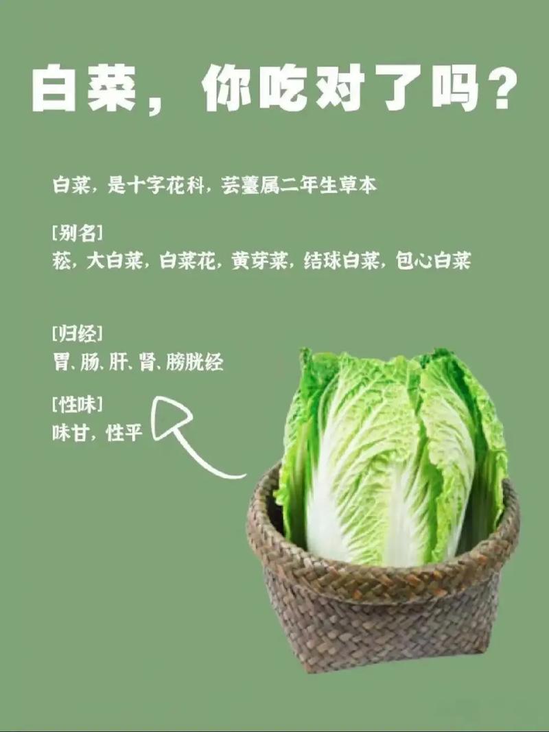 大白菜属于碳水吗_大白菜低碳水，控糖饱腹好帮手
