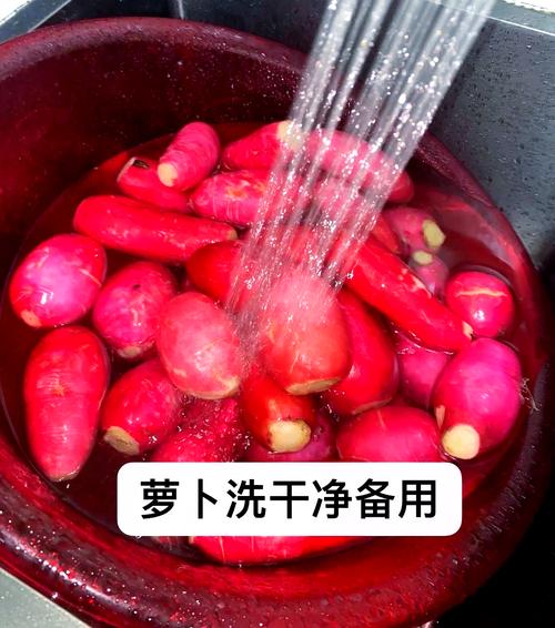4种腌萝卜秘制方法_爽脆解腻,酸辣五香随心腌 4种腌萝卜秘制方法_爽脆解腻,酸辣五香随心腌