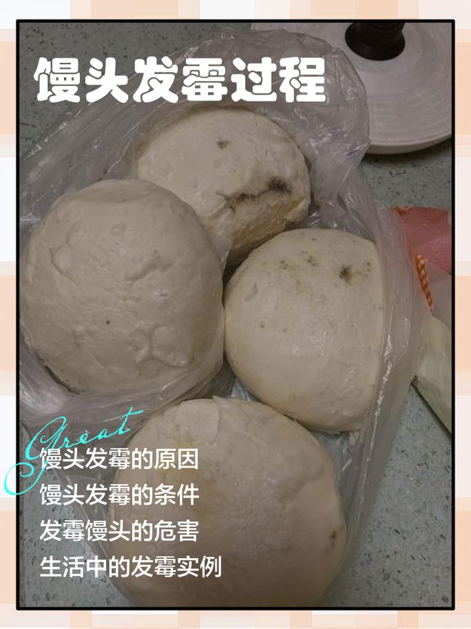 买的馒头二次加热就趴了_醋水喷雾软化冷冻馒头,口感恢复蓬松 买的馒头二次加热就趴了_醋水喷雾软化冷冻馒头,口感恢复蓬松