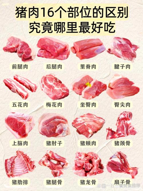 猪肉部位肉大全图解_部位不同做法不同 猪肉部位肉大全图解_部位不同做法不同
