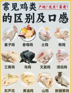 高来德和大庄烧鸡区别_高来德酱香烧鸡VS大庄咸香烧鸡，哪个更胜一筹？