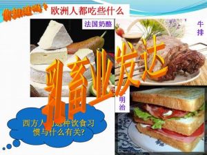 欧洲西部以什么饮食为主_地理影响与多元特色