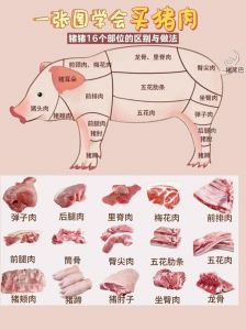 猪肉哪个部位最肥_猪肉部位肥瘦不同，用途各异