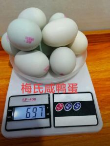 麻鸭蛋和咸鸭蛋的区别_江苏高邮浙江绍兴特产，风味各异
