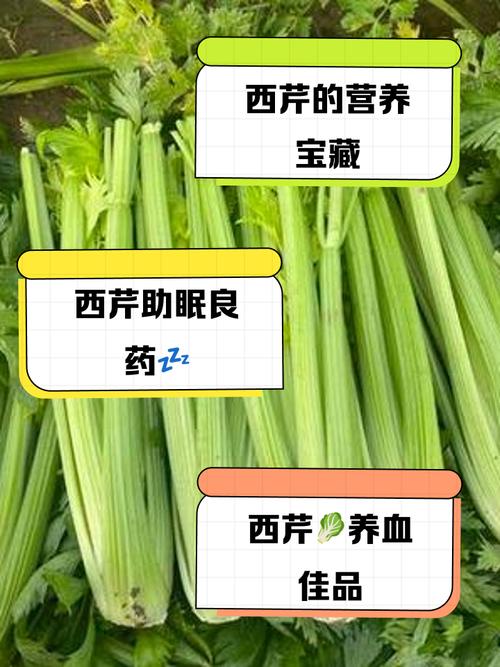 西芹一般焯水几分钟_粗茎2-3分钟,细茎1-1.5分钟,宁短勿长 西芹一般焯水几分钟_粗茎2-3分钟,细茎1-1.5分钟,宁短勿长