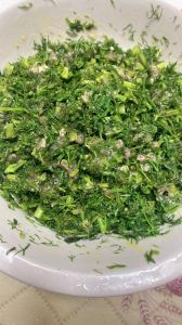 茴香馅水饺正宗做法_茴香猪肉饺子，鲜香可口，在家轻松做！
