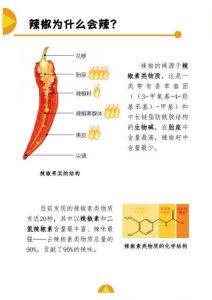 怎样降低辣椒的辣度_牛奶糖米饭，轻松吃辣椒