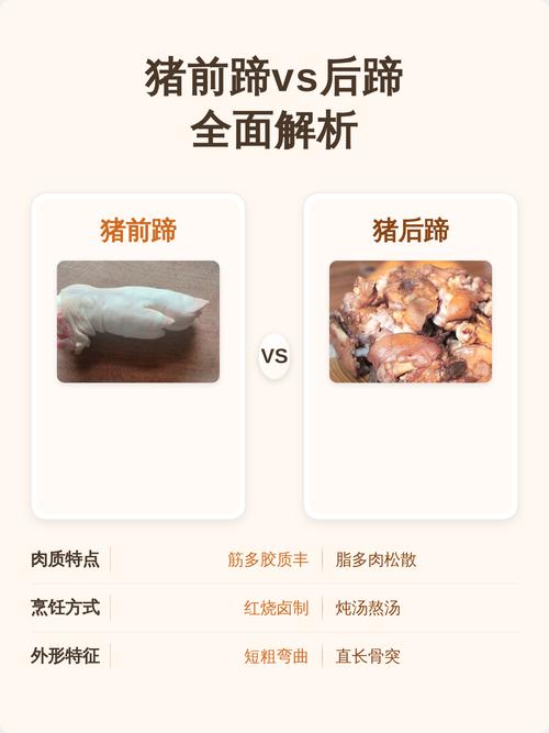 猪前蹄和猪后蹄怎么区别_外形肉质易辨别