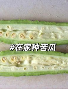 苦瓜加重体寒吗_体寒慎食苦瓜，控制量加姜热食