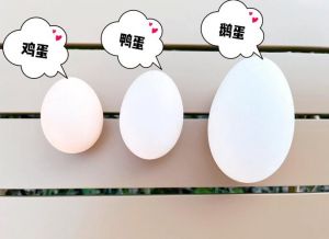 青壳鸭蛋和白壳鸭蛋的区别_青壳白壳鸭蛋有啥区别？