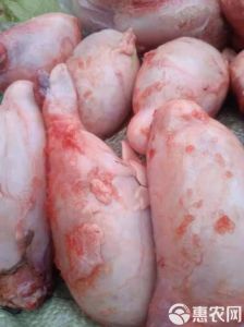 牛宝是牛什么部位_牛至宝不是牛生殖器，注意卫生均衡饮食
