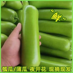 葫芦瓜和丝瓜的区别_丝瓜快喜阳甜，葫芦慢要肥或苦，用途不同皆奇妙
