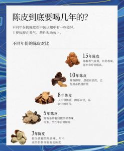陈皮的食用方法_陈皮泡水开胃，美食良材