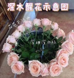 鲜花醒花的正确方法_醒花救活网购蔫花，步骤全解