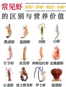 大明虾属于淡水虾吗_海河两栖，营养高挑，痛风慎吃