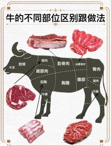 顶喉是牛的什么部位_顶喉甲状腺，胃分四室助消化，肝非牛，脂肪增风味