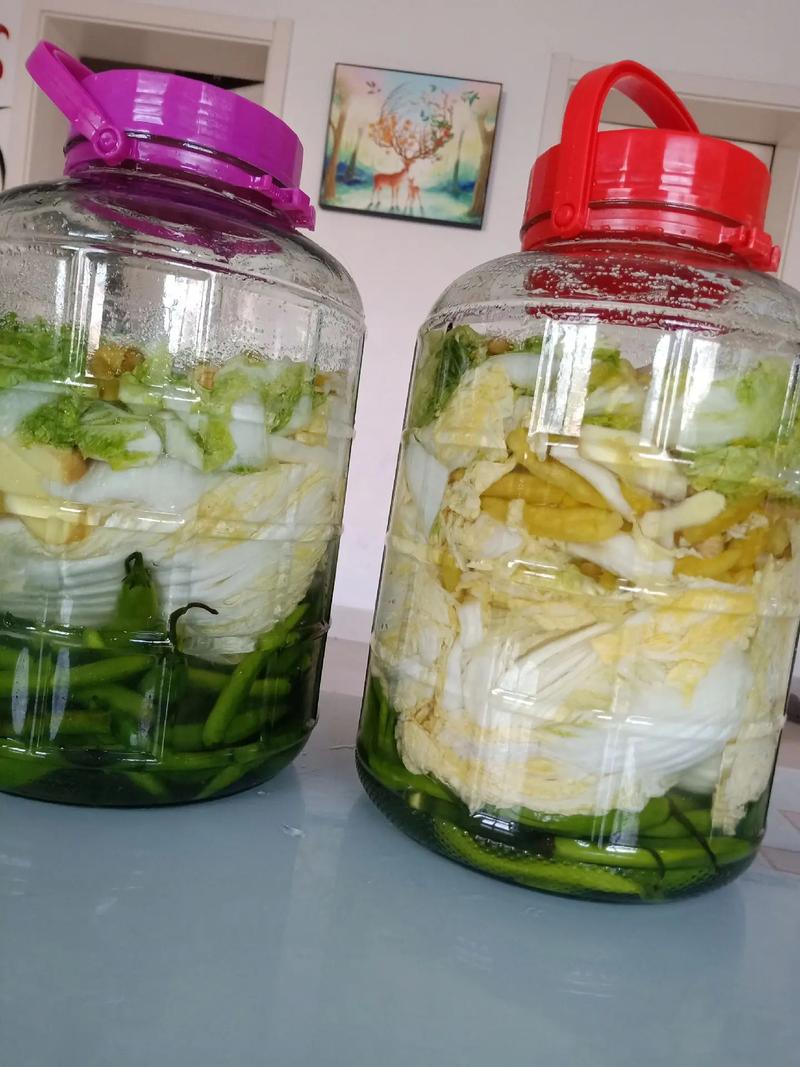 生腌酸菜的正确方法_选对晒透,加酒压紧,冷藏发制美味 生腌酸菜的正确方法_选对晒透,加酒压紧,冷藏发制美味